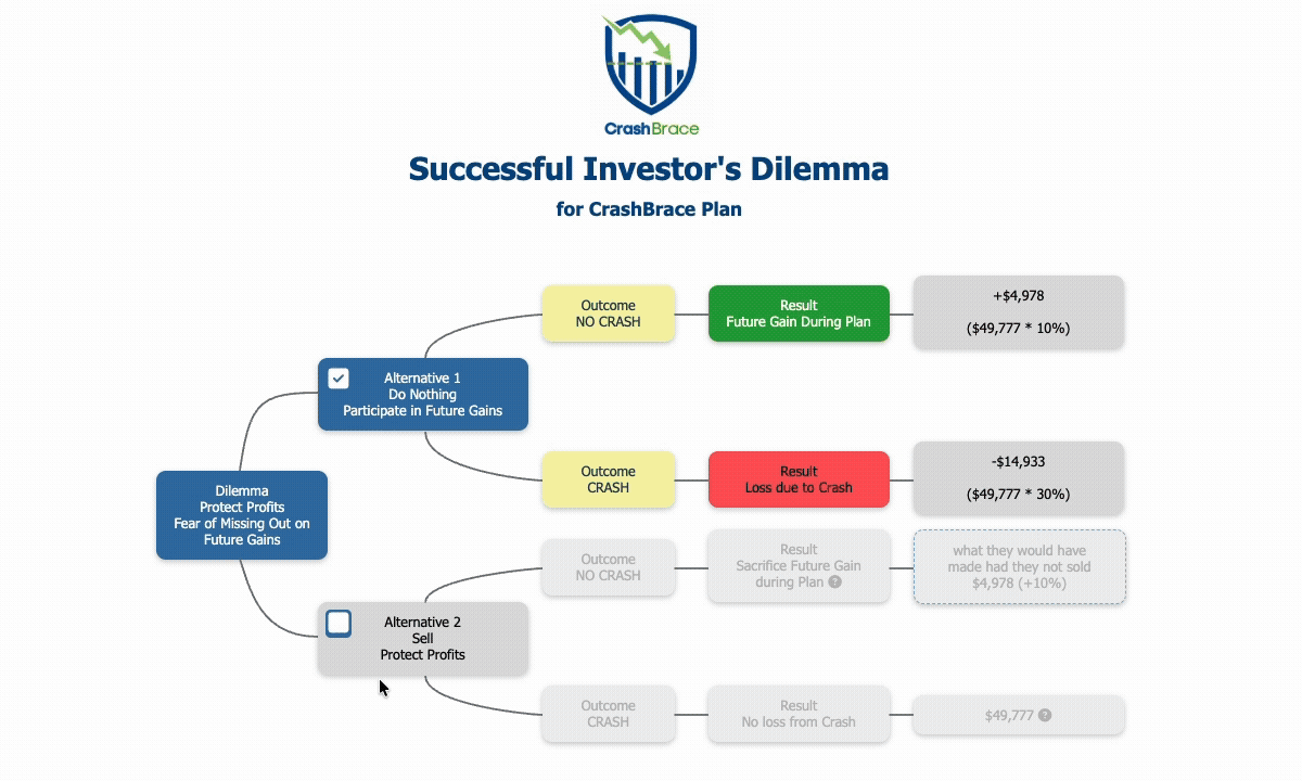 Crash Brace UI Screenshot